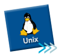 Windows Hosting